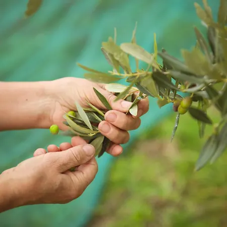 Farm stay Bio Poggio Aione *