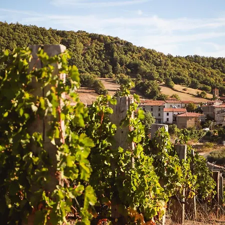 Bio Poggio Aione *