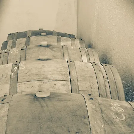 Bio Poggio Aione Bauernhof Saturnia